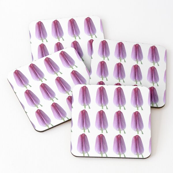 Item preview, Tulipa  'Pittsburg'   Triumph Tulip  designed and sold by Chris Burrows.