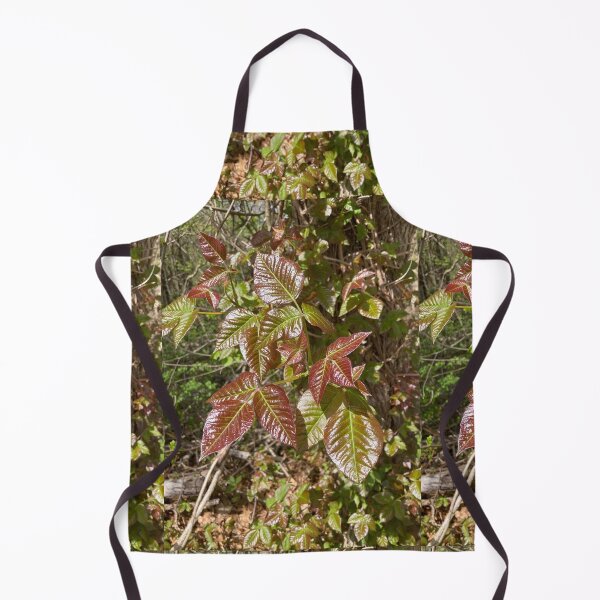 Item preview, Leaves of Three Leave them Be designed and sold by Amanda1775.