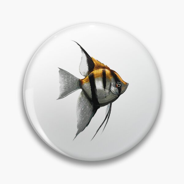 Item preview, Altum Angelfish Cichlid Fish Keeper Streetwear designed and sold by JRRTs.