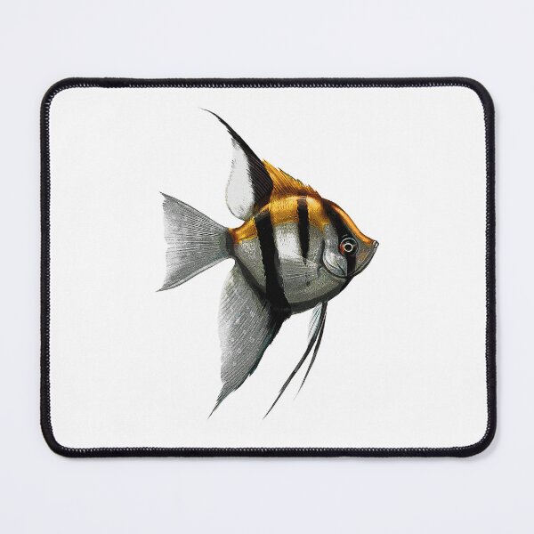Item preview, Altum Angelfish Cichlid Fish Keeper Streetwear designed and sold by JRRTs.