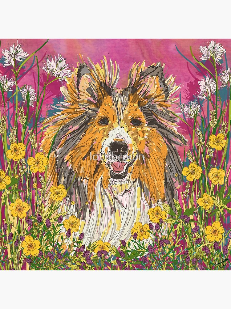 Sheltie by lottibrown