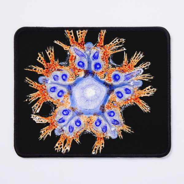 Item preview, Starfish Nervous System designed and sold by MakeWayDesign.
