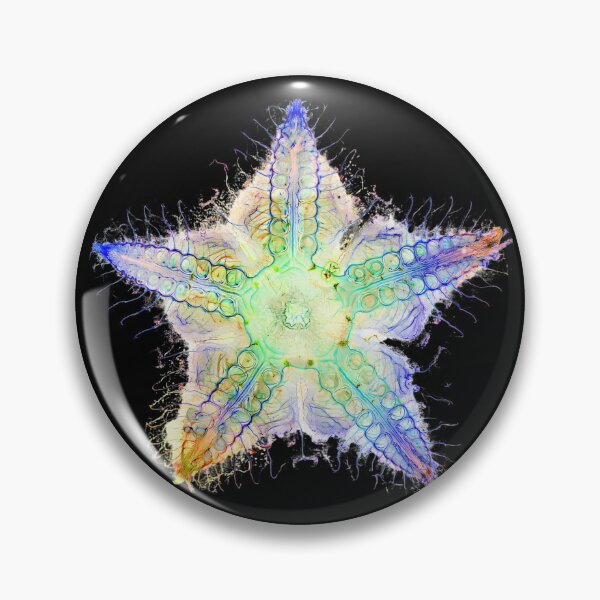 Item preview, Starfish Nervous System designed and sold by MakeWayDesign.