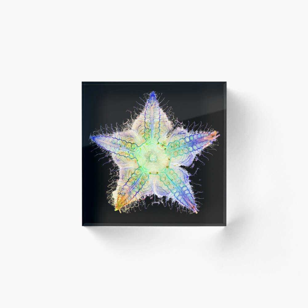 Item preview, Acrylic Block designed and sold by MakeWayDesign.