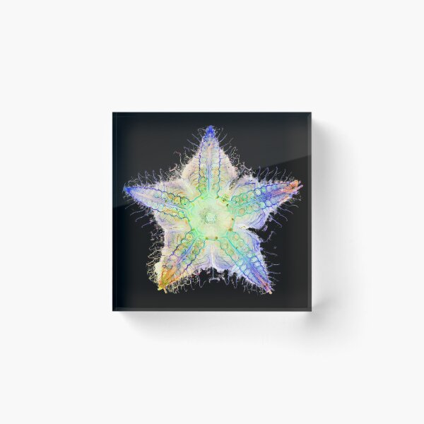 Item preview, Starfish Nervous System designed and sold by MakeWayDesign.