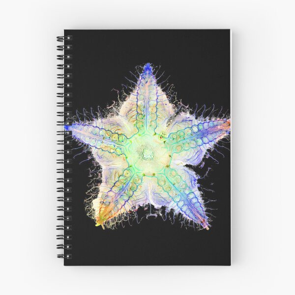 Item preview, Starfish Nervous System designed and sold by MakeWayDesign.