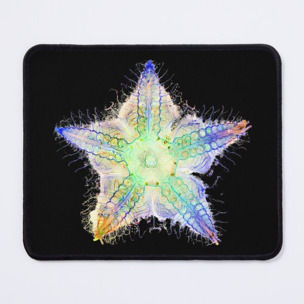 Item preview, Starfish Nervous System designed and sold by MakeWayDesign.