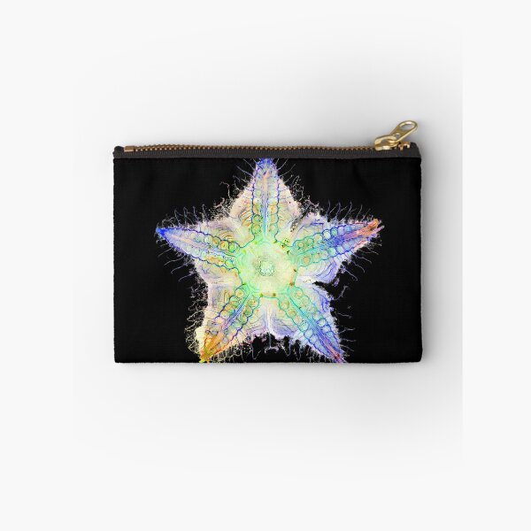 Item preview, Starfish Nervous System designed and sold by MakeWayDesign.