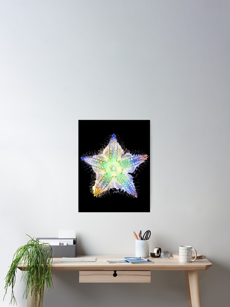 Thumbnail 2 of 3, Poster, Starfish Nervous System designed and sold by MakeWayDesign.
