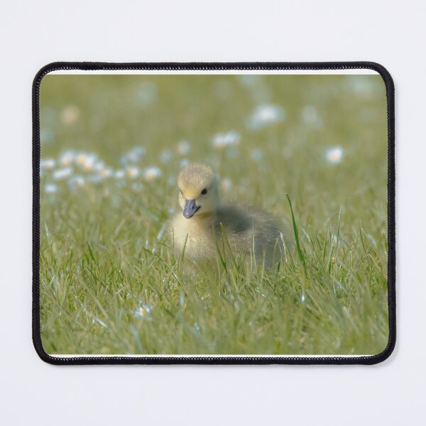 Item preview, Cuteness exemplified designed and sold by Adrian Rowley.
