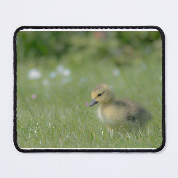 Item preview, Cuteness exemplified designed and sold by Adrian Rowley.