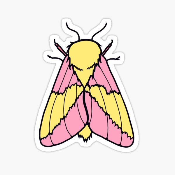 Item preview, Rosy Maple Moth designed and sold by lady-ghostface.