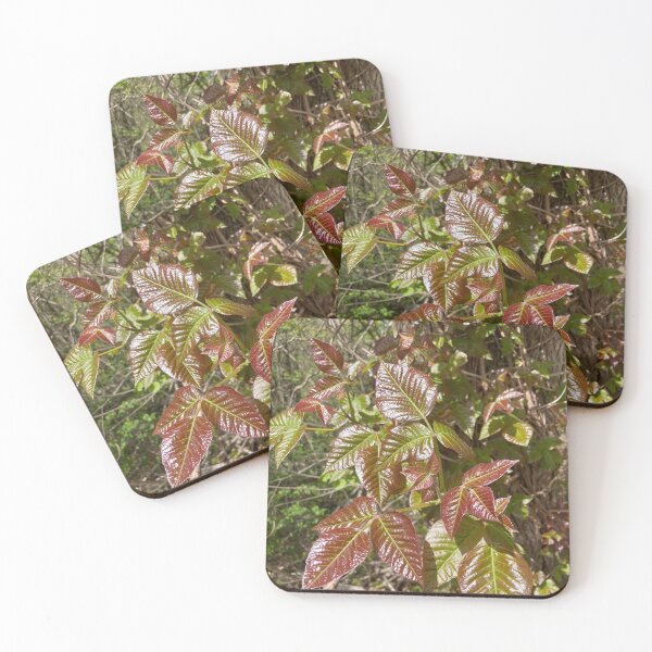 Item preview, Leaves of Three Leave them Be designed and sold by Amanda1775.