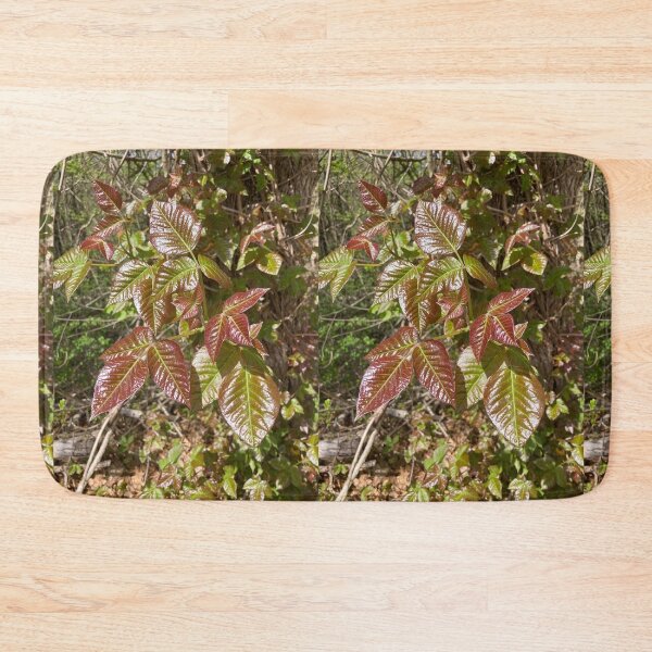 Item preview, Leaves of Three Leave them Be designed and sold by Amanda1775.