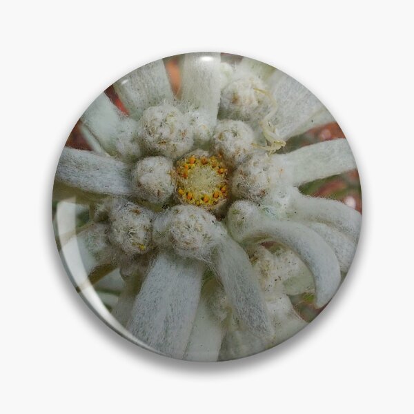 Item preview, Edelweiss designed and sold by Elfriede Fulda.
