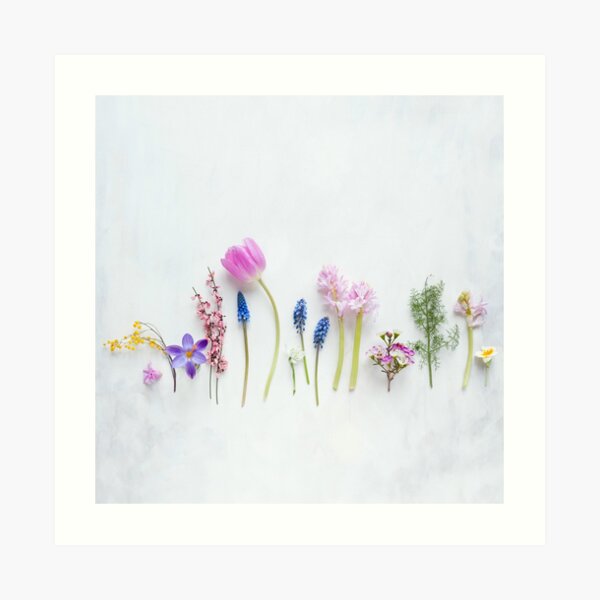 Spring flowers Art Print