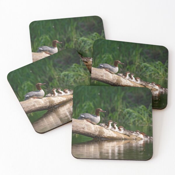 Item preview, Mergus merganser on a log with ducklings. designed and sold by ART-SUNRISE.