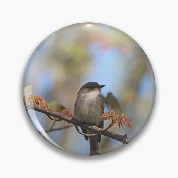 Item preview, Eastern Phoebe In Spring designed and sold by Deb Oppermann.