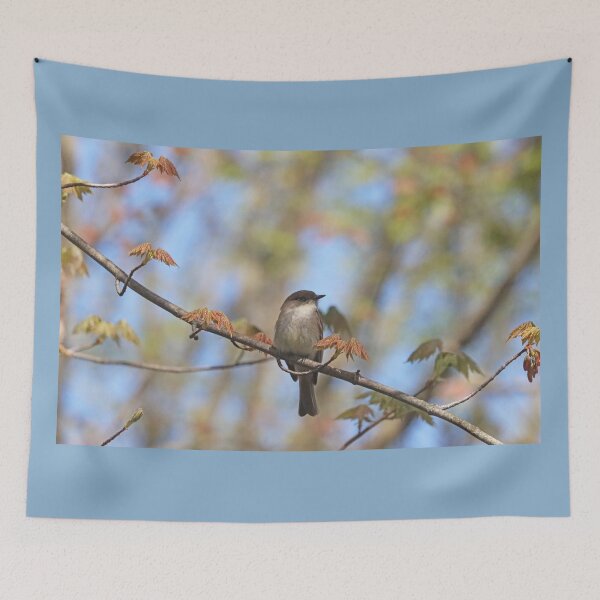 Item preview, Eastern Phoebe In Spring designed and sold by Deb Oppermann.