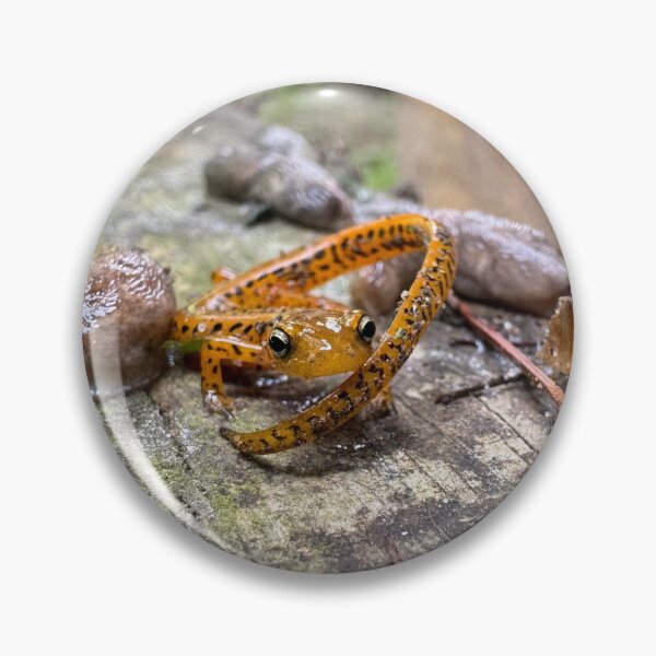 Artikelvorschau, Tiere aus Clear Creek entworfen und verkauft von MINDDesignsInc.
