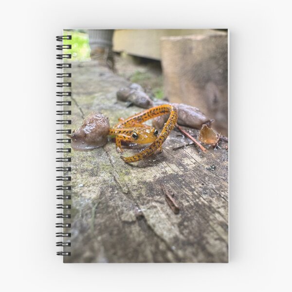 Item preview, Bichos de Clear Creek designed and sold by MINDDesignsInc.