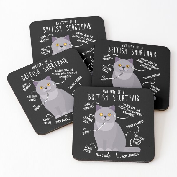 Item preview, British Shorthair Cat Anatomy designed and sold by Clara Hollins.