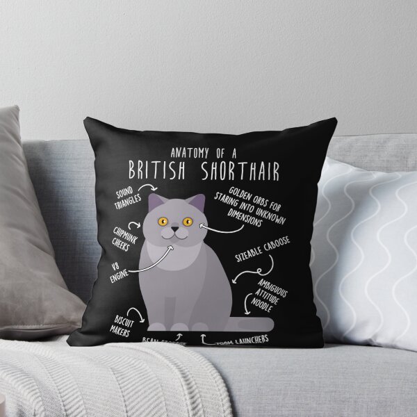 Item preview, British Shorthair Cat Anatomy designed and sold by Clara Hollins.