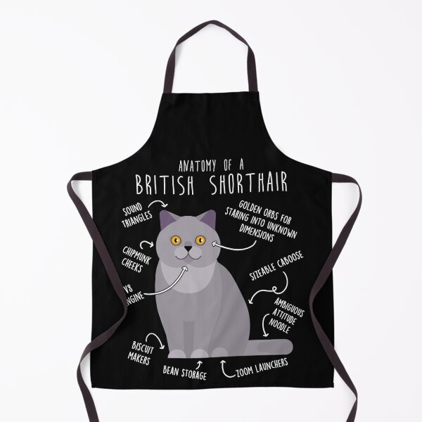 Item preview, British Shorthair Cat Anatomy designed and sold by Clara Hollins.