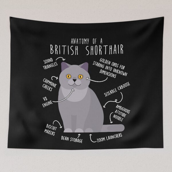 Item preview, British Shorthair Cat Anatomy designed and sold by Clara Hollins.