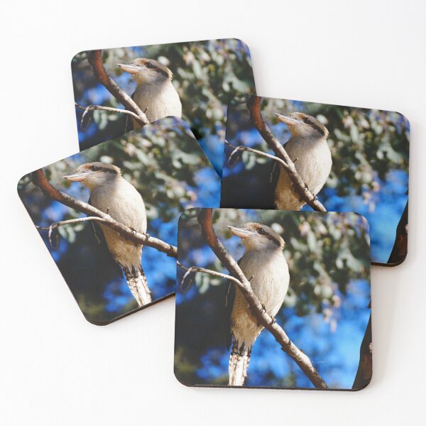 Item preview, Kookaburra in a Tree  designed and sold by D-GaP.
