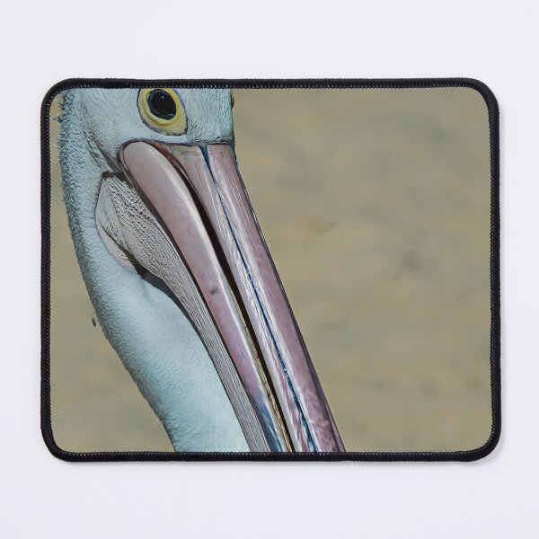 Item preview, Australian Pelican designed and sold by photograham.