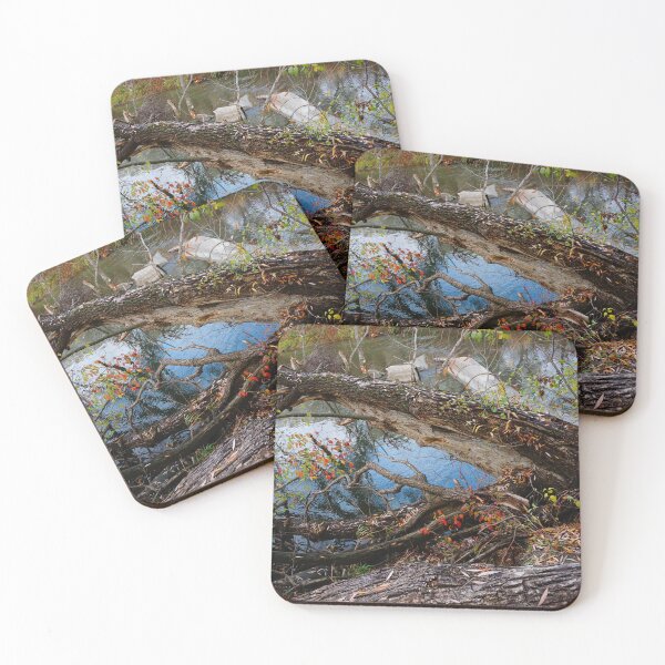 Item preview, Fallen tree designed and sold by corichard.