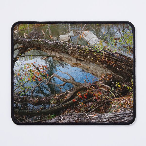 Item preview, Fallen tree designed and sold by corichard.