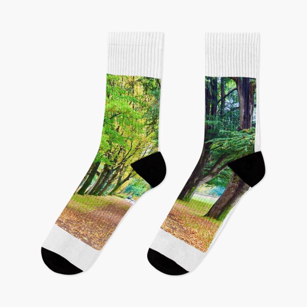 Item preview, Autumn walk in Canberra Australia designed and sold by cbrpix.