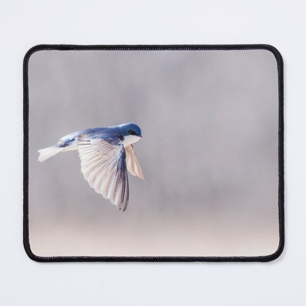 Item preview, Tree Swallow designed and sold by Now Loading....