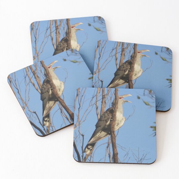 Item preview, Channel-billed cuckoo or Storm birds designed and sold by Jenny  Dyer.