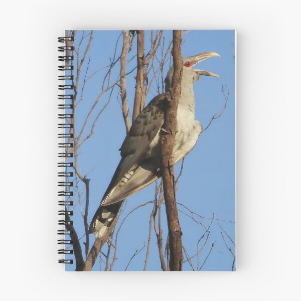 Item preview, Channel-billed cuckoo or Storm birds designed and sold by Jenny  Dyer.