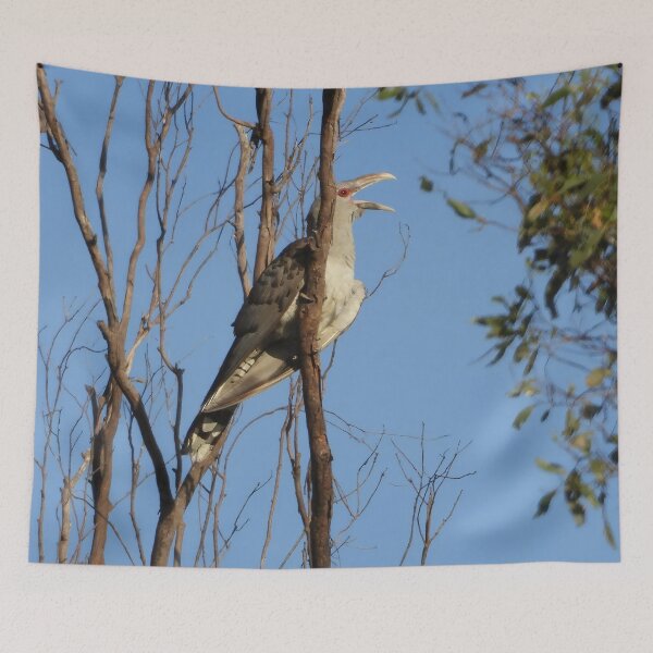 Item preview, Channel-billed cuckoo or Storm birds designed and sold by Jenny  Dyer.