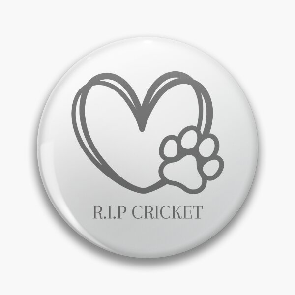 Item preview, R.I.P. Cricket designed and sold by PumbaPants.