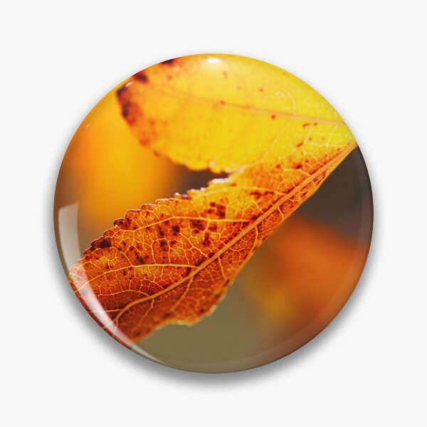 Item preview, Liquidambar Leaf Before Winter designed and sold by Joy Watson - Natural Light Photography .
