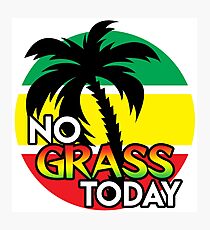 No Grass Today Photographic Print