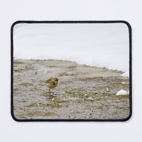 Item preview, On the snowy fields. Meadow Pipit designed and sold by Jouko Lehto Photography.