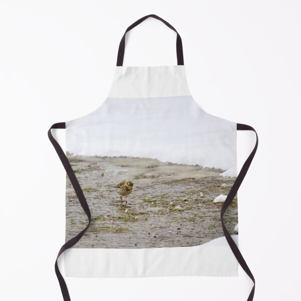 Item preview, On the snowy fields. Meadow Pipit designed and sold by Jouko Lehto Photography.