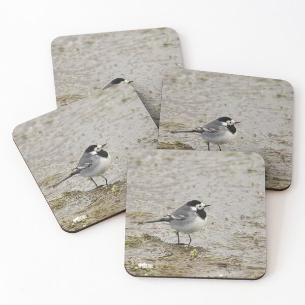 Item preview, Wet feet. White wagtail designed and sold by Jouko Lehto Photography.