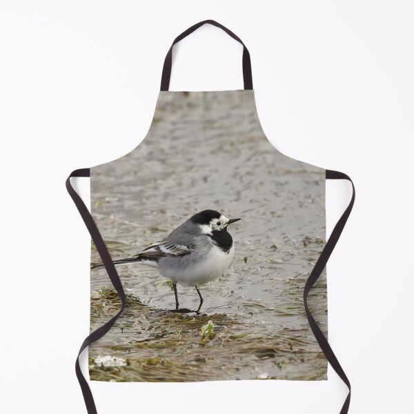 Item preview, Wet feet. White wagtail designed and sold by Jouko Lehto Photography.