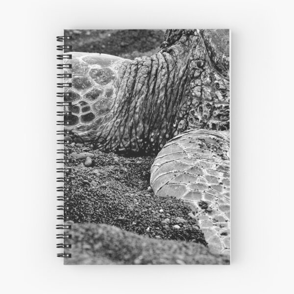 Item preview, TUTRLE ON BLACK SANDS BEACH designed and sold by Captures Of Creation.