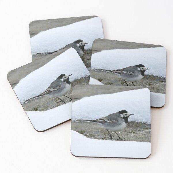 Item preview, Surrounded by snow. White wagtail designed and sold by Jouko Lehto Photography.