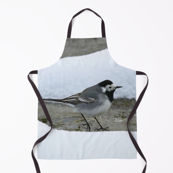 Item preview, Surrounded by snow. White wagtail designed and sold by Jouko Lehto Photography.