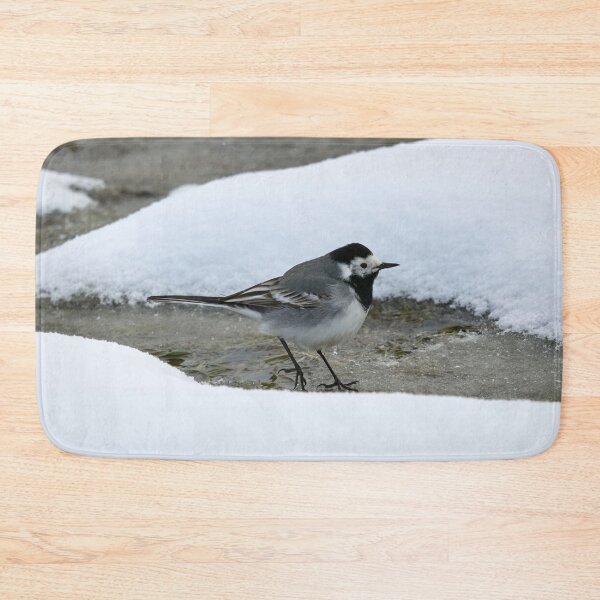 Item preview, Surrounded by snow. White wagtail designed and sold by Jouko Lehto Photography.