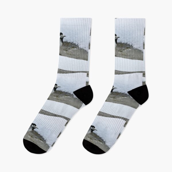 Item preview, Surrounded by snow. White wagtail designed and sold by Jouko Lehto Photography.